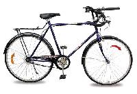 Adult Bicycle