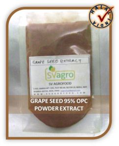 Grape Seed Extract