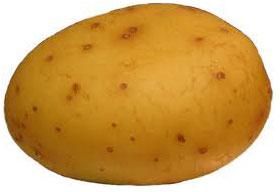 Potato