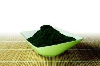 Spirulina Powder for Sales and Export