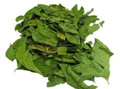 Dried Neem Leaf