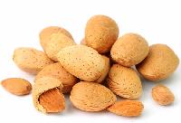 almond shells