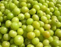 Indian Gooseberry