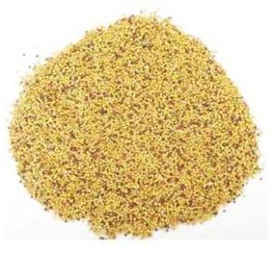 Rapeseed Meal