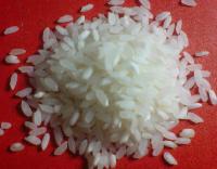 Sona Masuri Steam Rice