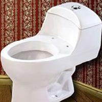 One Piece Water Closet