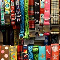 dog collars & leashes