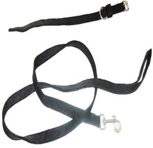 PUPPY COLLAR LEASH