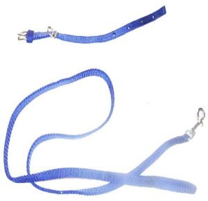 PUPPY COLLAR LEASH PP SET