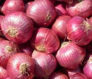 Fresh Red Onion