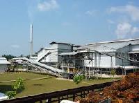 palm oil mills