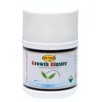 Astha Growth Bluster Natural Plant Hormones