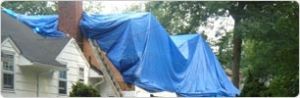 LDPE Tarpaulin