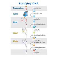 DNA & RNA Extraction Kit