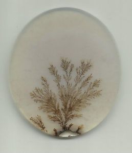 Dendrite agate