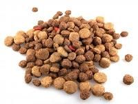 Dog Food