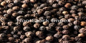 Black Pepper Seeds