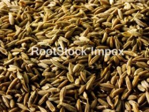 Cumin Seeds