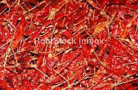 Dried Red Chilli