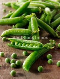 Fresh Peas