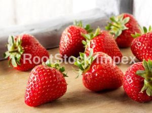 Fresh Strawberry