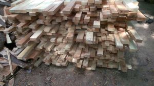 Packing Woods