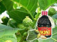 Noni Products