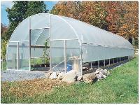 poly greenhouse