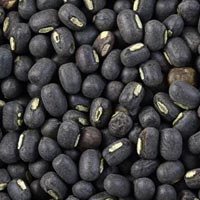 Black Urad Dal