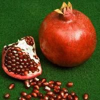 Pomegranate Plant