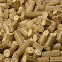 Biomass Briquette