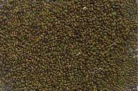 Sesbania Seed