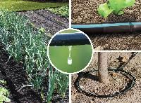 Drip Irrigation