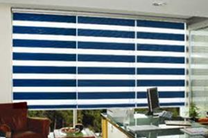 Zebra Window Blinds