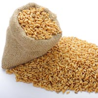 GRAINS