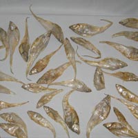 Dried Anchovies