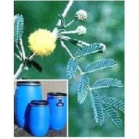 Acacia Catechu Extract