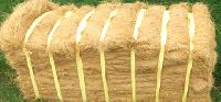 Coir Fibre