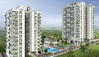 sfs silicon hills flats