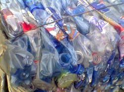 PET Bottle Scrap (PBS-01)