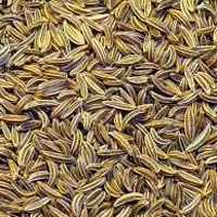 Cumin Seeds