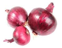 Indian Red Onion