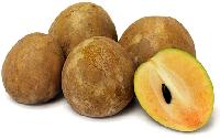 Sapodilla