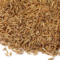 Cumin Seeds