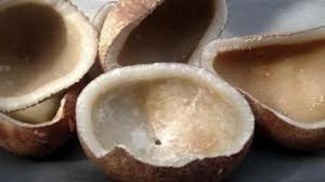 Coconut Copra