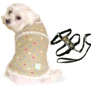 Pet Accessories