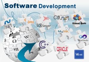 Software Development Services