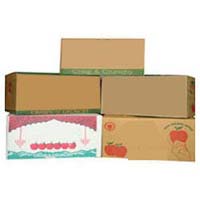 Fruit Packaging Corrugated Box