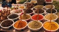 agriculture spices