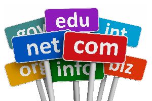 Domain Name Transfer